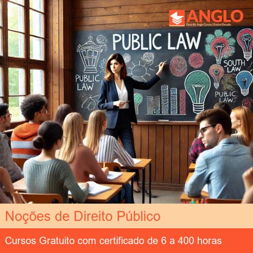 Noções de Direito Público